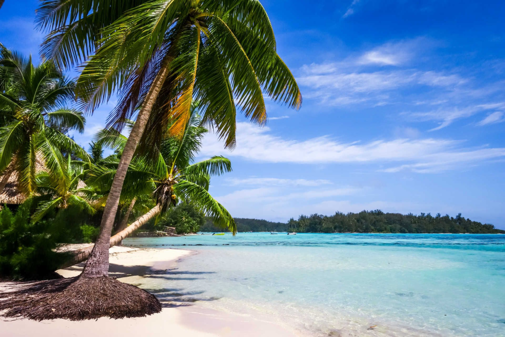 exotic destination